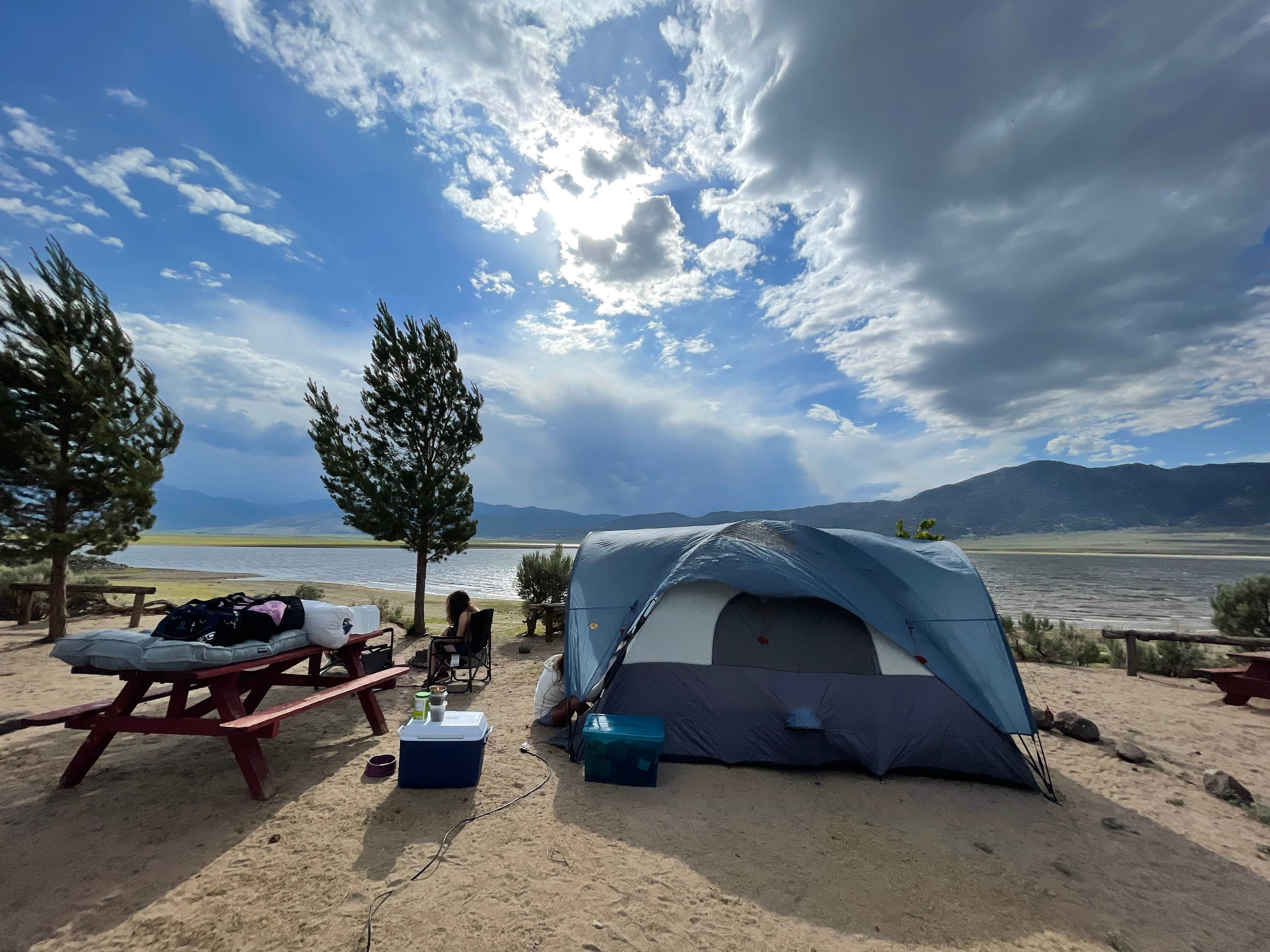 Bridgeport Reservoir Marina & Campground The Dyrt