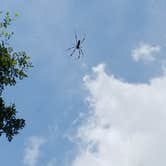 Review photo of Brazos Bend State Park Campground by Jimmy R., June 12, 2018
