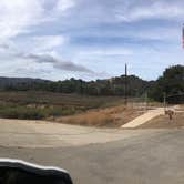 Review photo of Lake Casitas Recreation Area by Kristina B., June 28, 2021