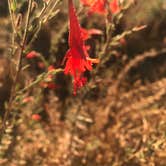 Review photo of Lake Casitas Recreation Area by Kristina B., June 28, 2021