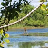 Review photo of Brazos Bend State Park Campground by Jimmy R., June 12, 2018