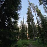 Review photo of Lizard Creek Campground — Grand Teton National Park by Jeff S., June 28, 2021