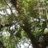 Review photo of Brazos Bend State Park Campground by Jimmy R., June 12, 2018