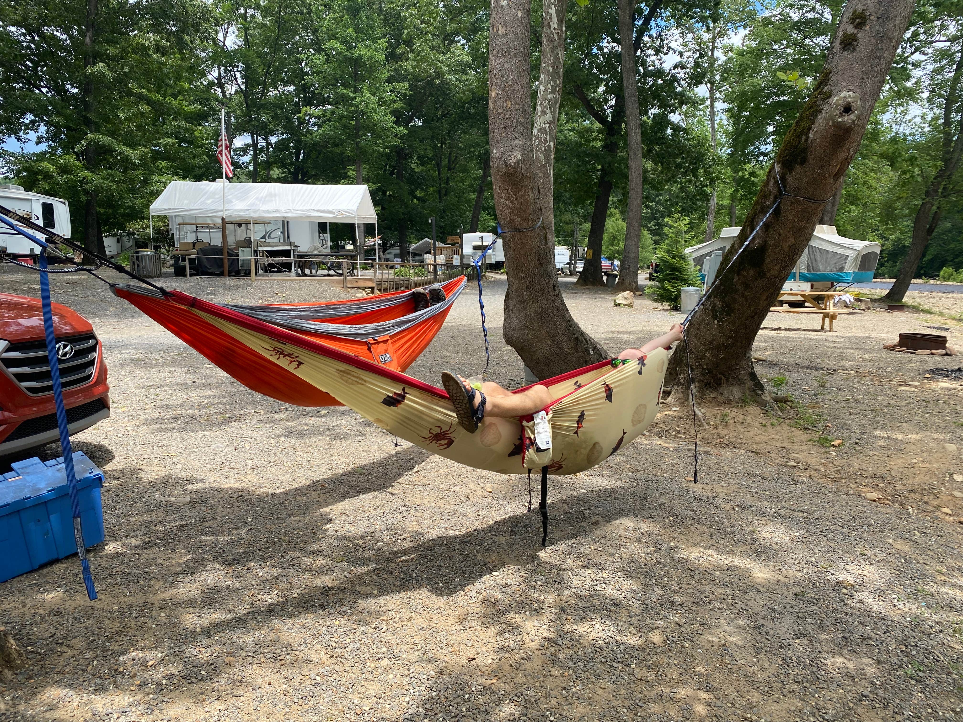 Camper submitted image from Toe River Campground - TEMPORARILY CLOSED - 3