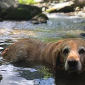 Review photo of Hickory Nut Falls Family Campground by Bryan H., June 28, 2021