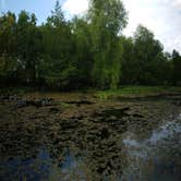 Review photo of Brazos Bend State Park Campground by Jimmy R., June 12, 2018