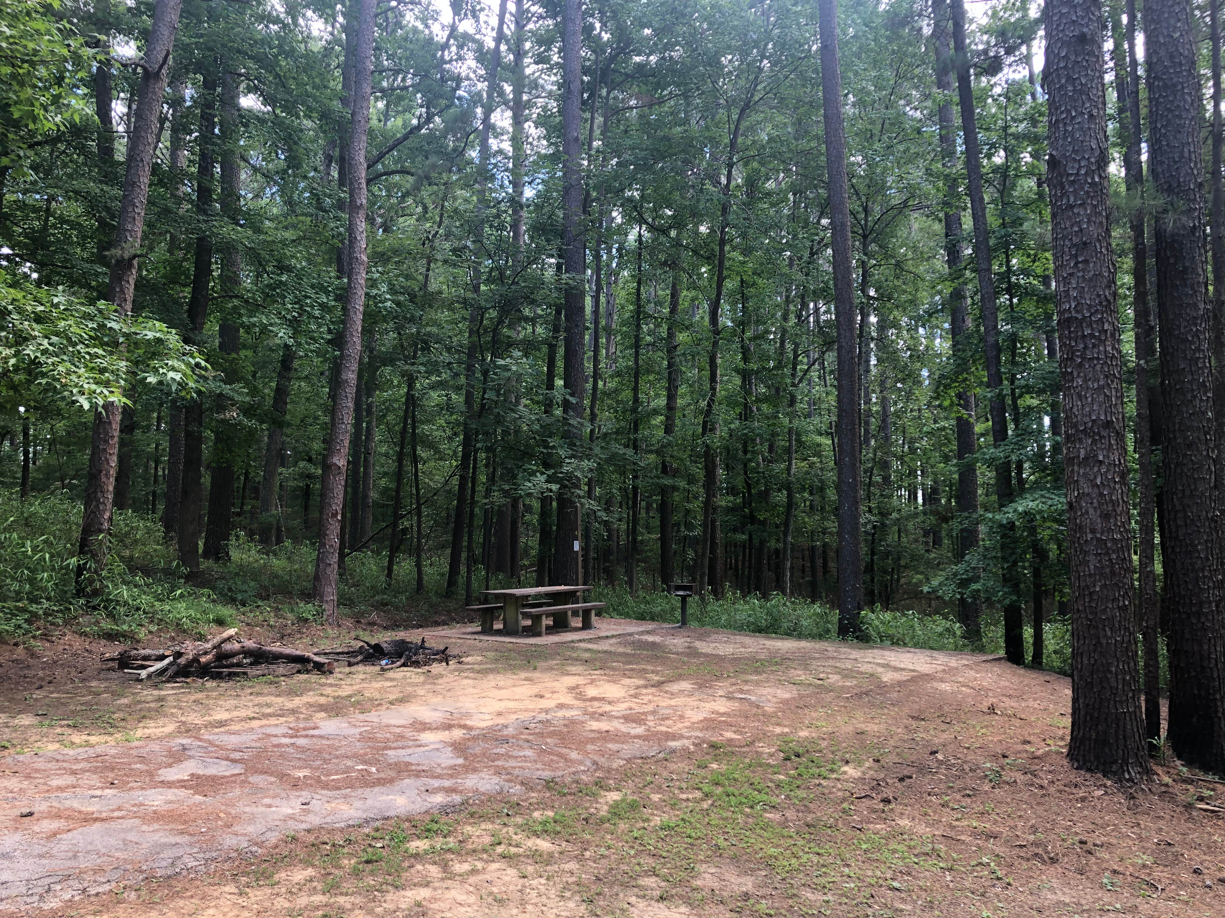 Best camping in Angelina National Forest | The Dyrt