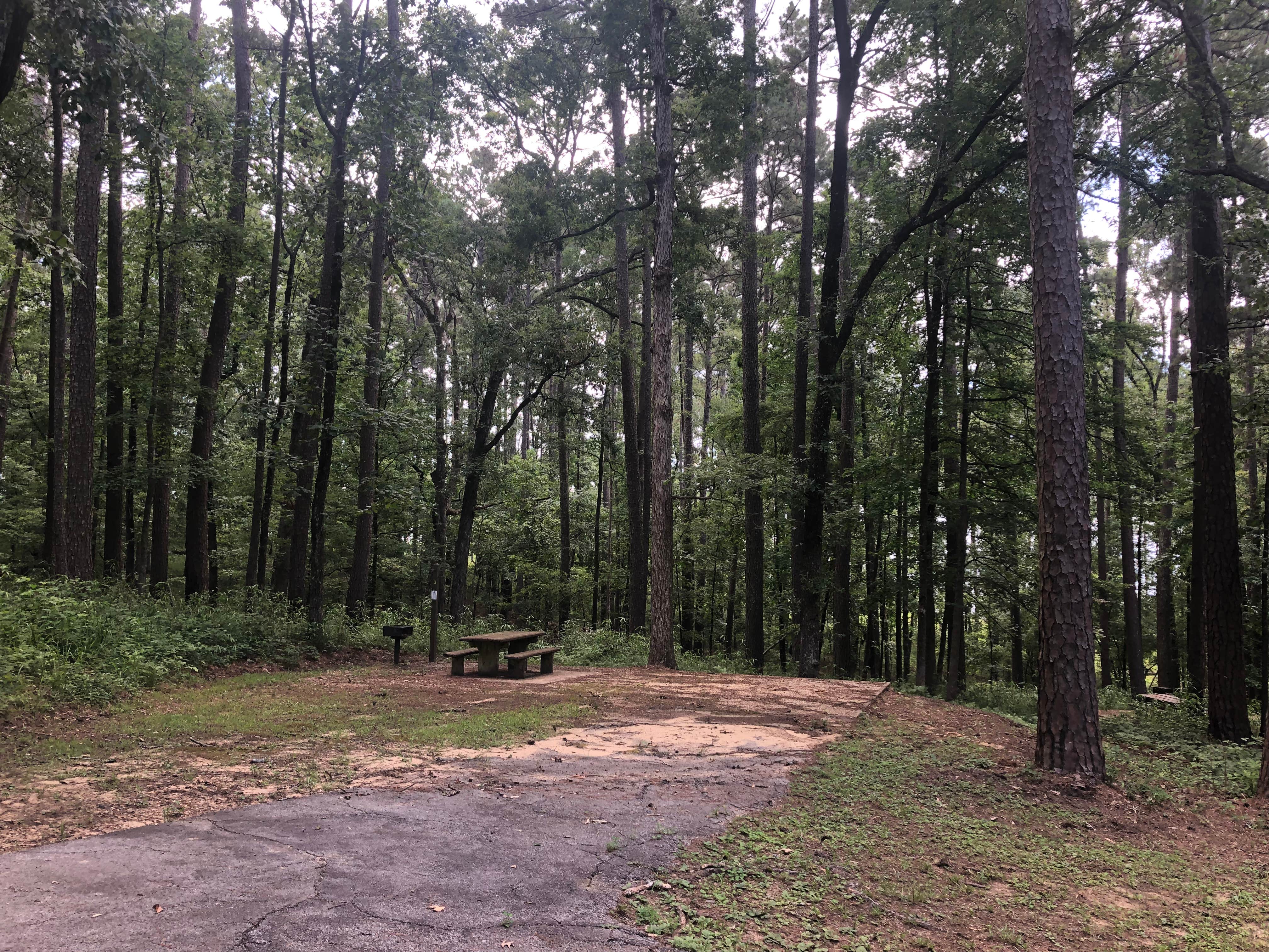 Camper submitted image from Ragtown Campground - 2