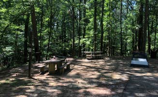 David S.'s photo at Ragtown Campground near San Augustine, TX