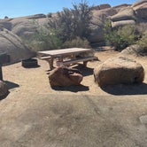 Review photo of Jumbo Rocks Campground — Joshua Tree National Park by Kailey S., June 28, 2021