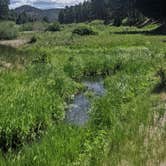 Review photo of Fenton Lake State Park — Fenton Lake Fishing Area (and Dam) by Reuben , June 28, 2021