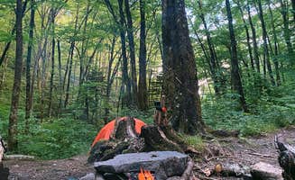 Carissa D.'s photo at 68 Steel Trap in North Carolina