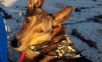 Paige R.'s photo of camping with pets at Edwin King Atwood Park near Eastland, TX