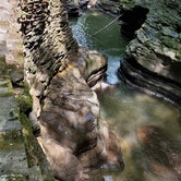 Review photo of Watkins Glen State Park Campground by Nicholas F., June 28, 2021
