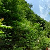 Review photo of Watkins Glen State Park Campground by Nicholas F., June 28, 2021