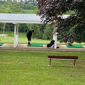 Review photo of Merry Meadows Recreation Farm by Mary F., June 28, 2021