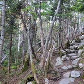 Review photo of Guyot Shelter - Dispersed Camping by Raj T., June 28, 2021