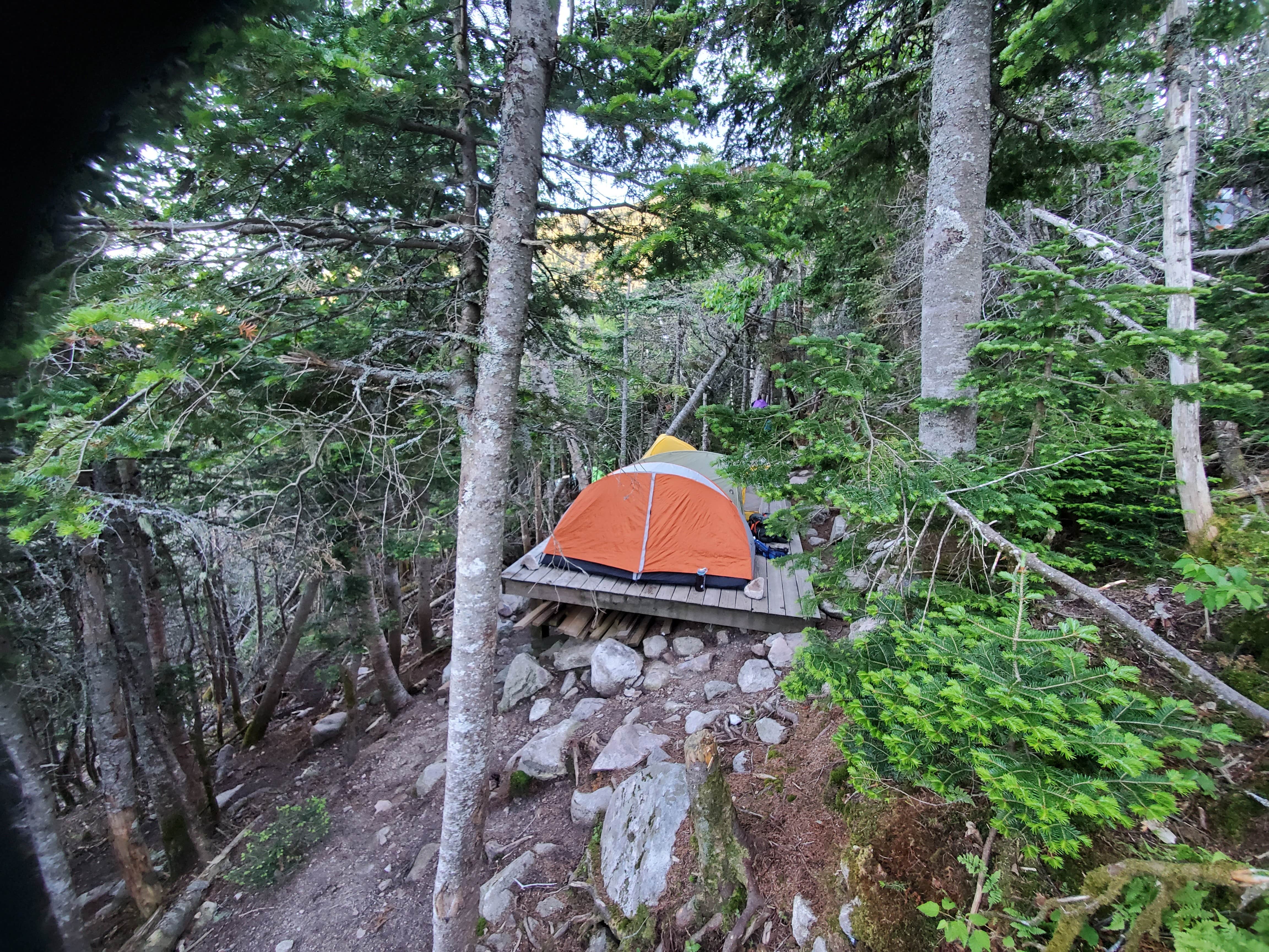 Raj T.'s photo of a dispersed camping area at Guyot Shelter - Dispersed Camping near Bradford, VT