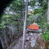 Review photo of Guyot Shelter - Dispersed Camping by Raj T., June 28, 2021