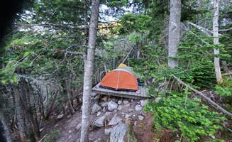 Raj T.'s photo at Guyot Shelter - Dispersed Camping in New Hampshire