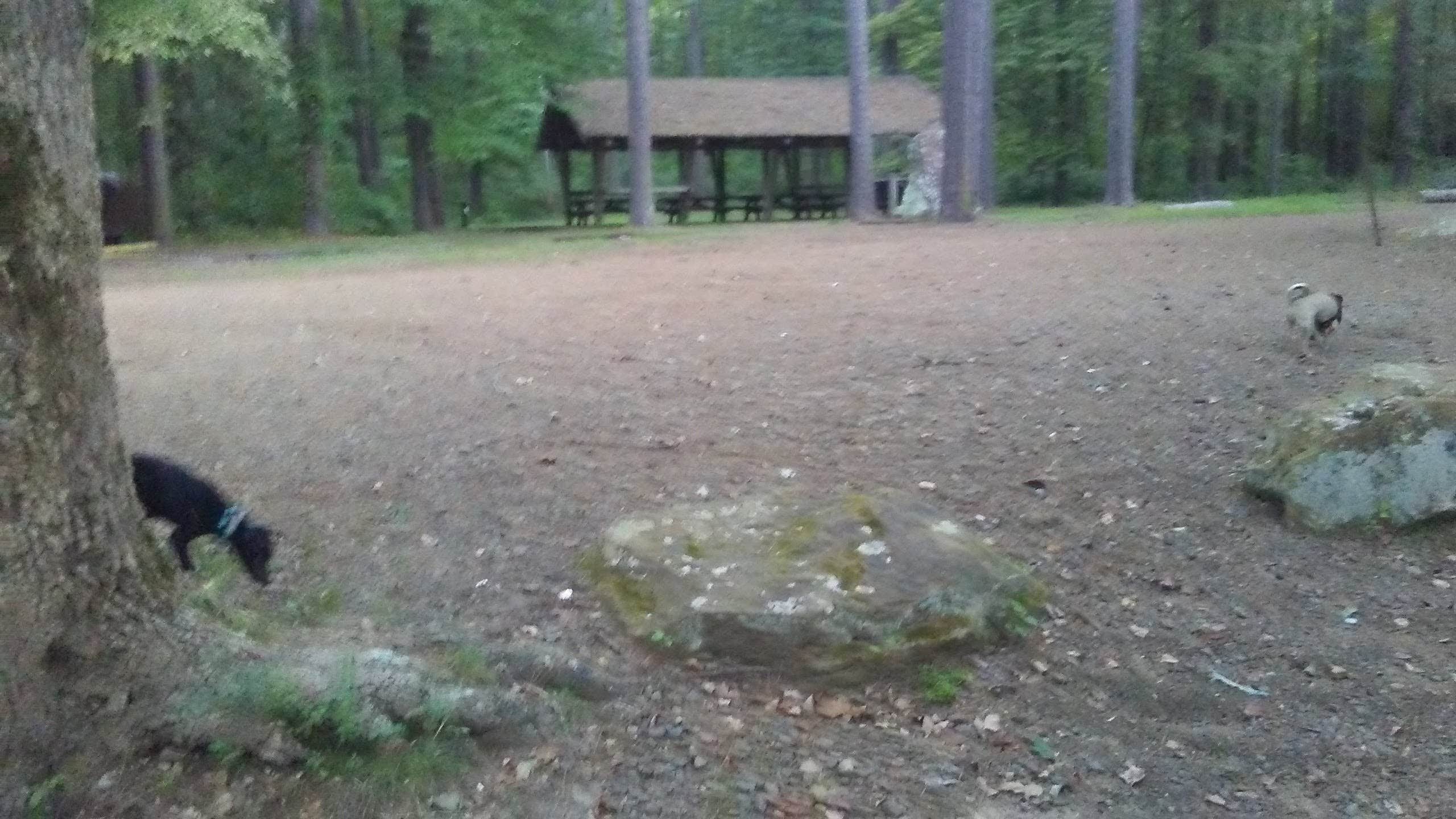 Bayou Bluff Recreation Area Campground The Dyrt