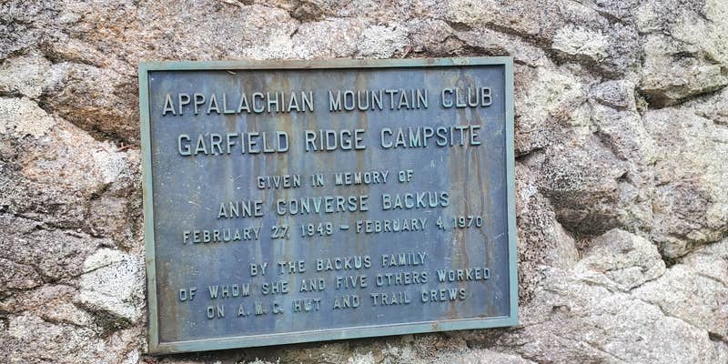 Camper submitted image from Garfield Ridge Campsite and Shelter — Appalachian National Scenic Trail