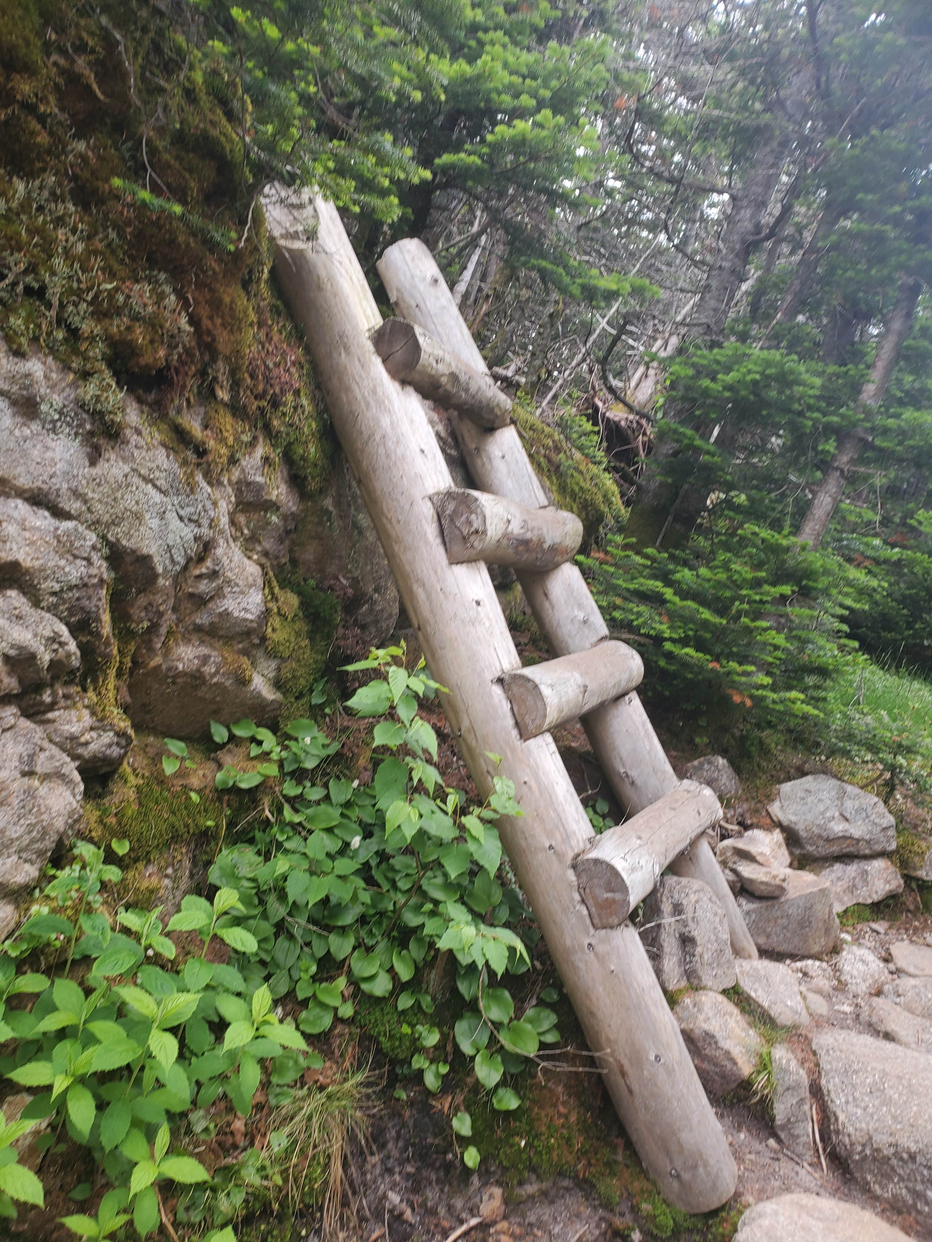 Camper-submitted photo at Garfield Ridge Campsite and Shelter — Appalachian National Scenic Trail near Benton, NH