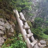 Review photo of Garfield Ridge Campsite and Shelter, Appalachian Trail by Raj T., June 28, 2021