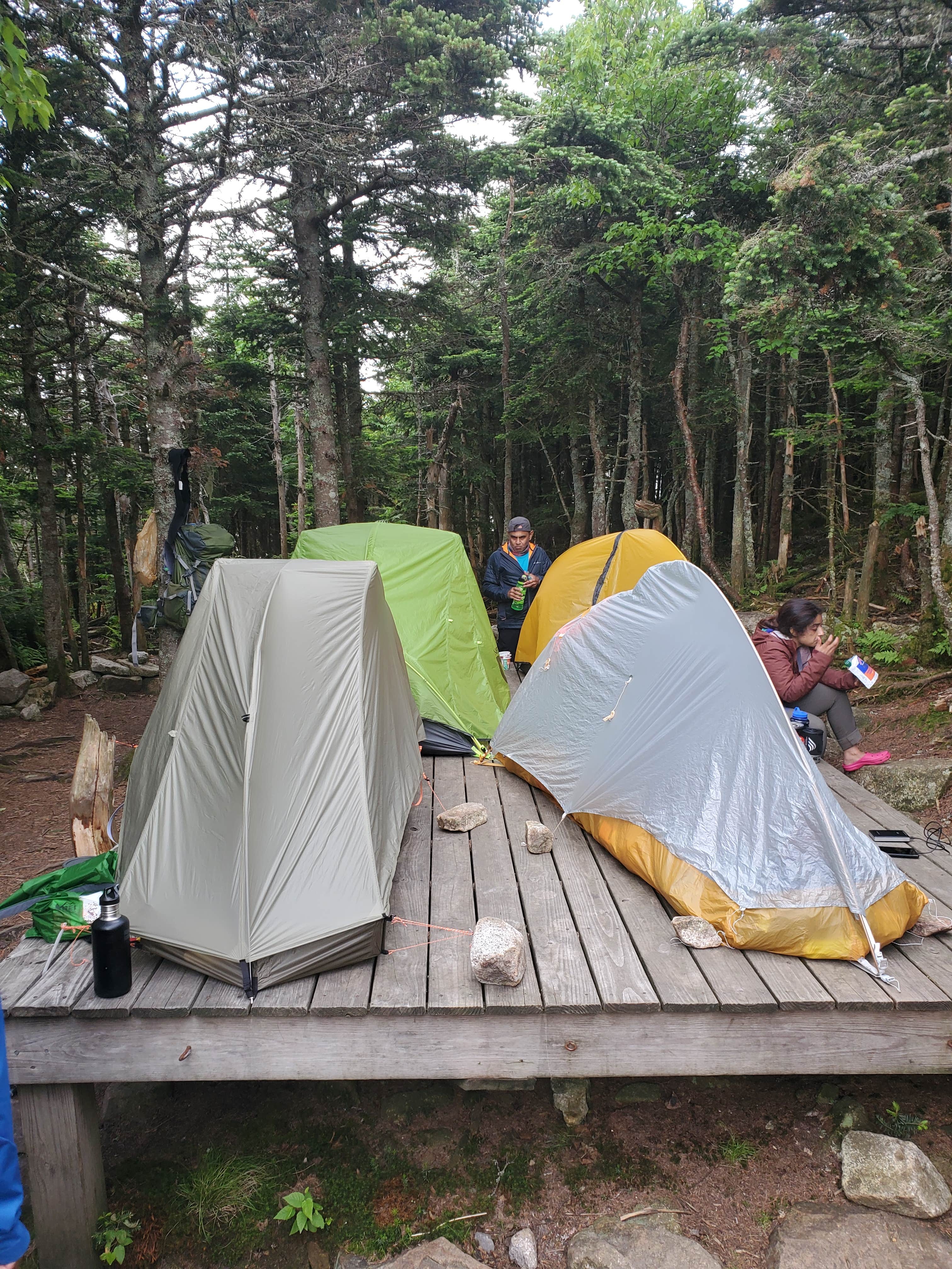 Raj T.'s photo of tent camping at Garfield Ridge Campsite and Shelter — Appalachian National Scenic Trail near Benton, NH