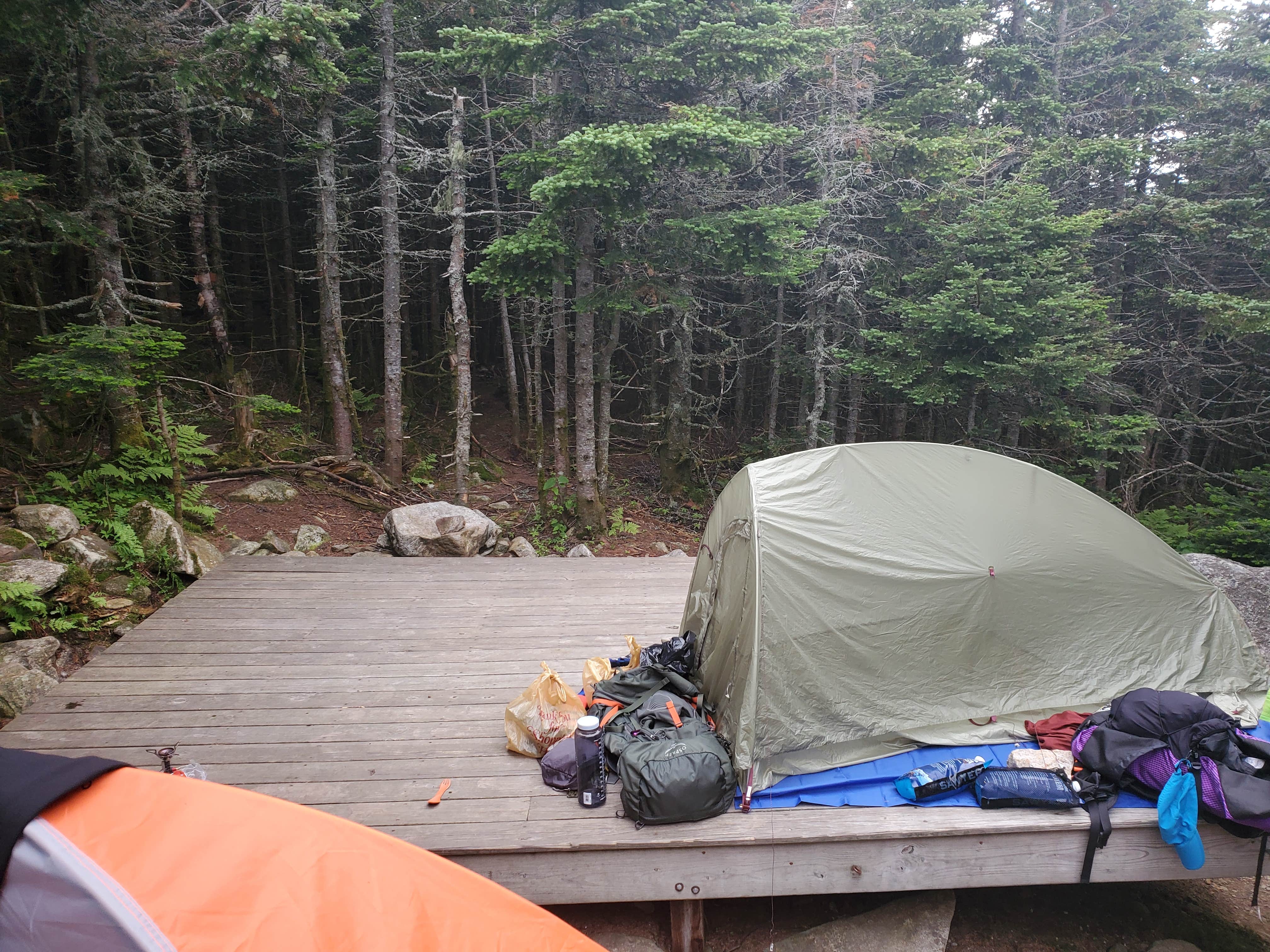 Camper submitted image from Garfield Ridge Campsite and Shelter, Appalachian Trail - 3