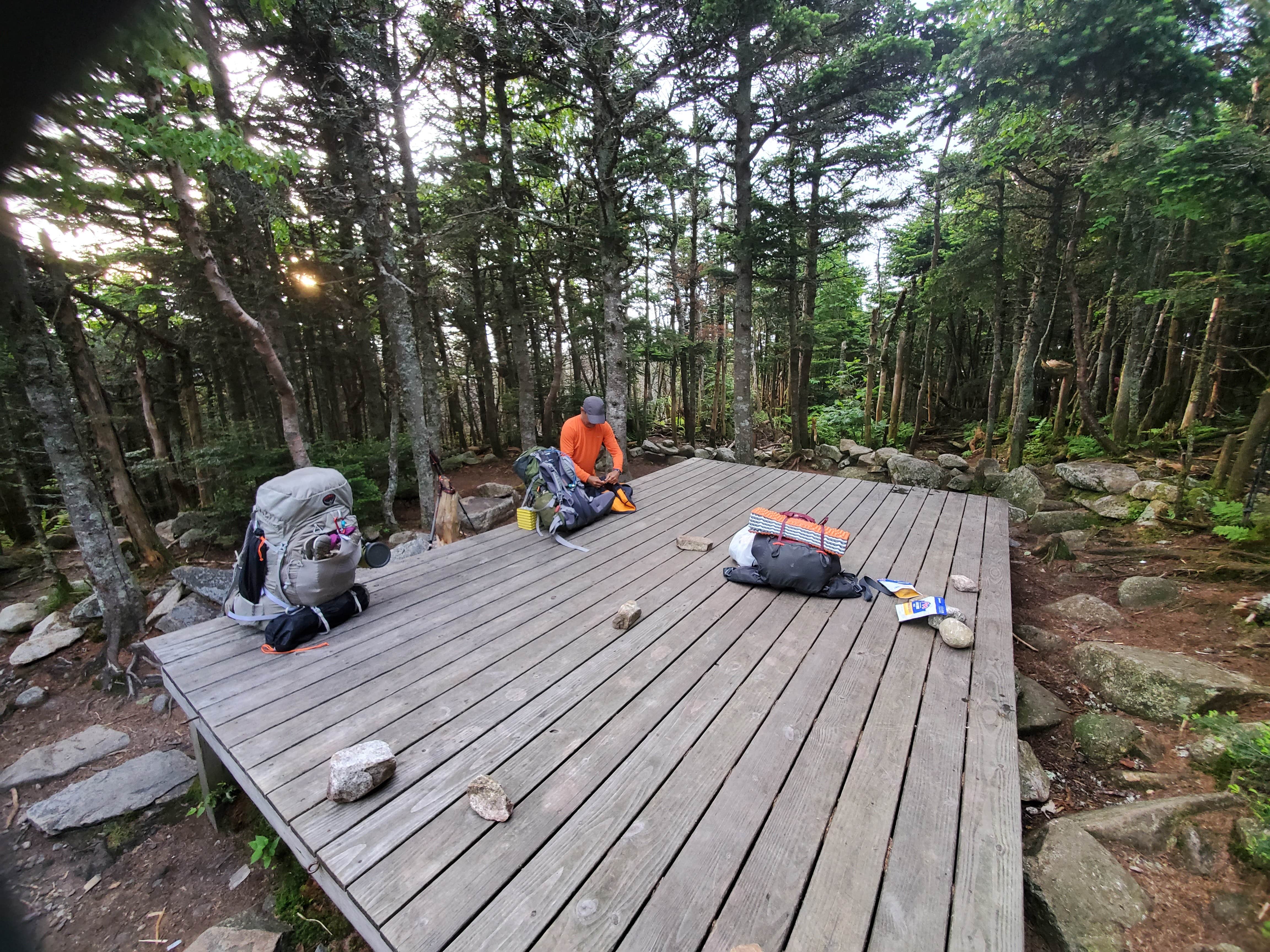 Camper submitted image from Garfield Ridge Campsite and Shelter — Appalachian National Scenic Trail - 4
