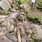 Review photo of Garfield Ridge Campsite and Shelter, Appalachian Trail by Raj T., June 28, 2021