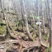 Review photo of Garfield Ridge Campsite and Shelter, Appalachian Trail by Raj T., June 28, 2021