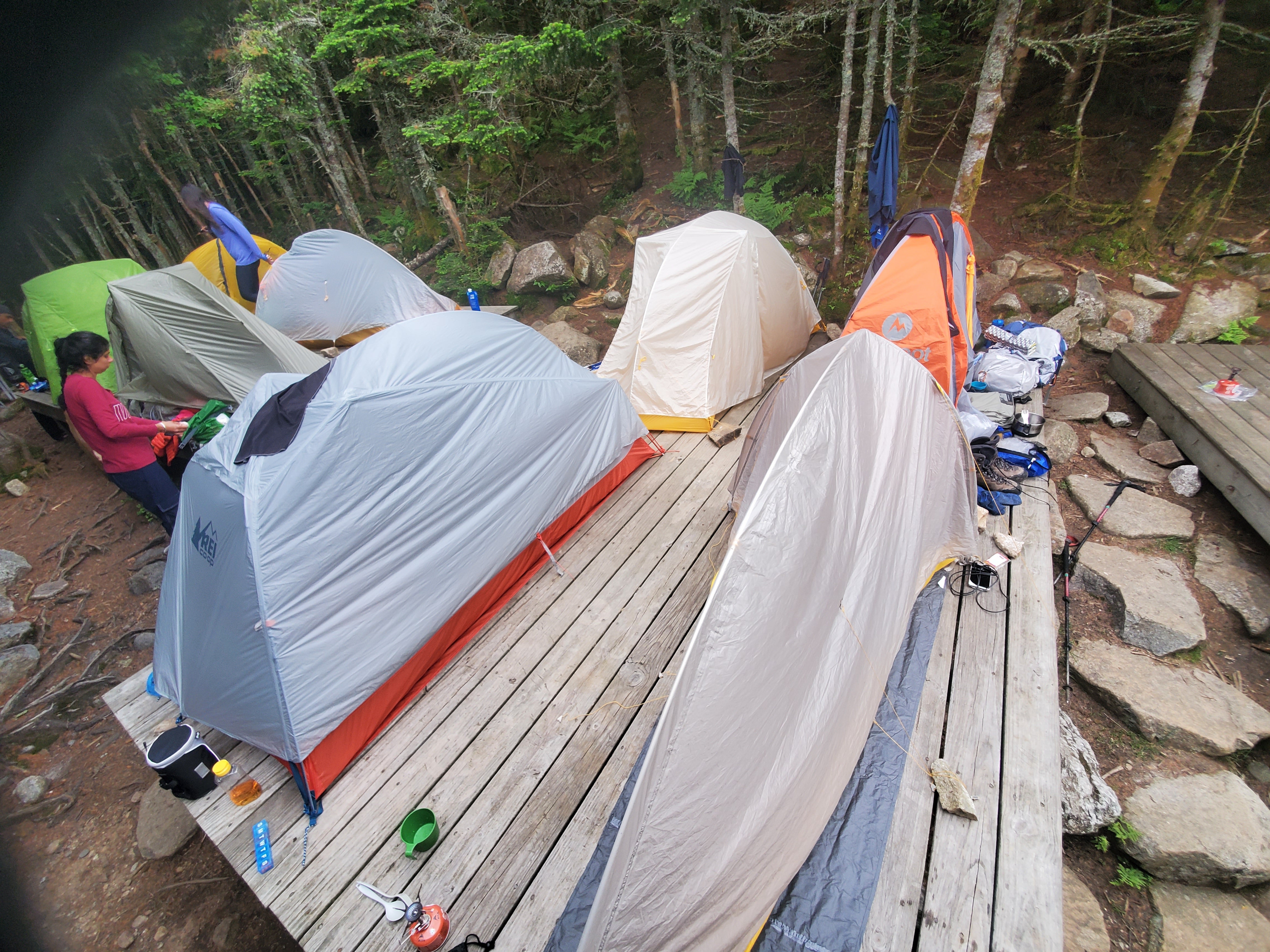 Camper submitted image from Garfield Ridge Campsite and Shelter — Appalachian National Scenic Trail - 2