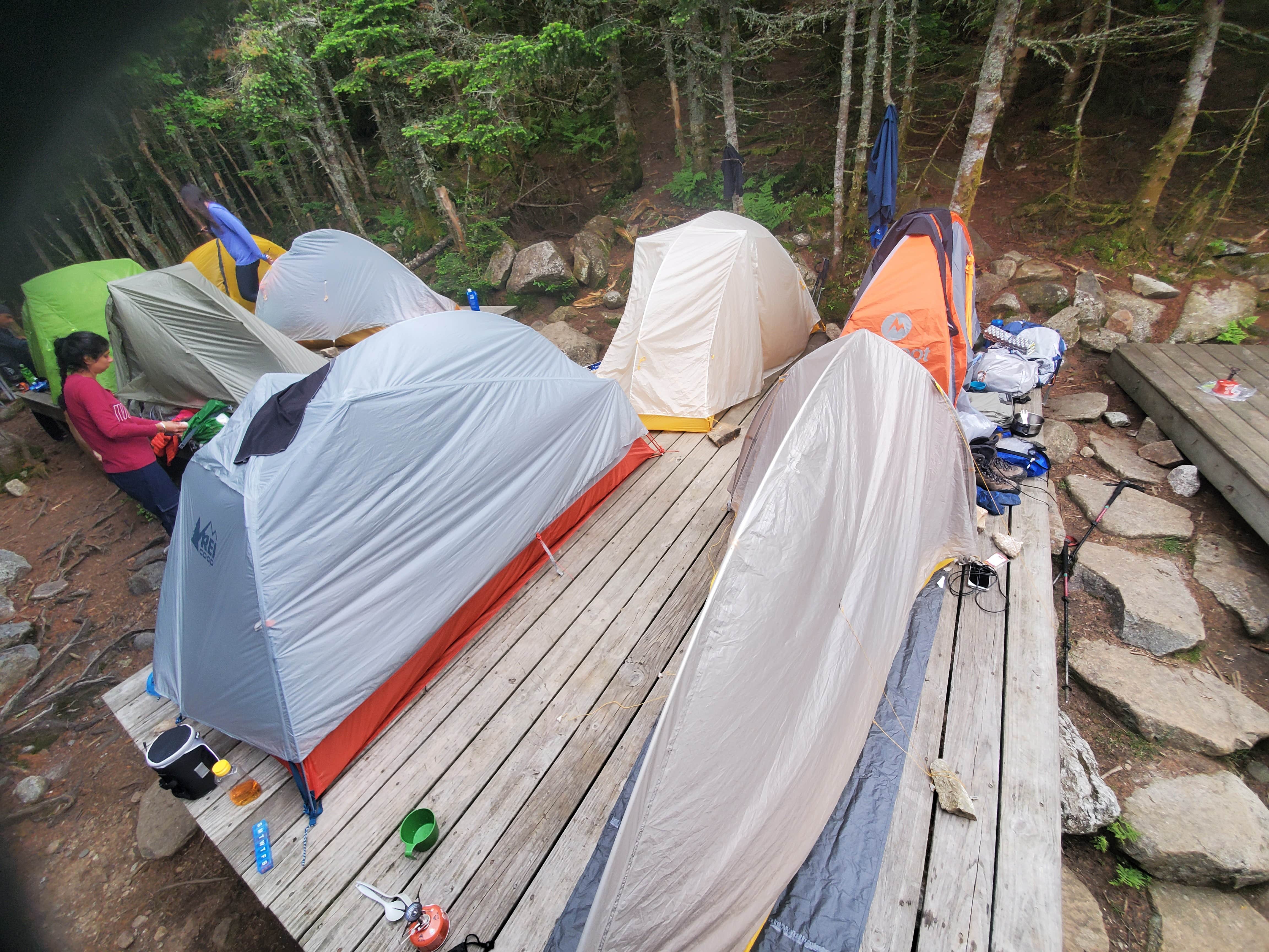 Camper submitted image from Garfield Ridge Campsite and Shelter, Appalachian Trail - 2