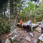 Review photo of Garfield Ridge Campsite and Shelter, Appalachian Trail by Raj T., June 28, 2021