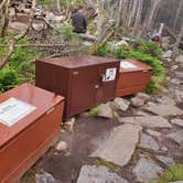 Review photo of Garfield Ridge Campsite and Shelter, Appalachian Trail by Raj T., June 28, 2021