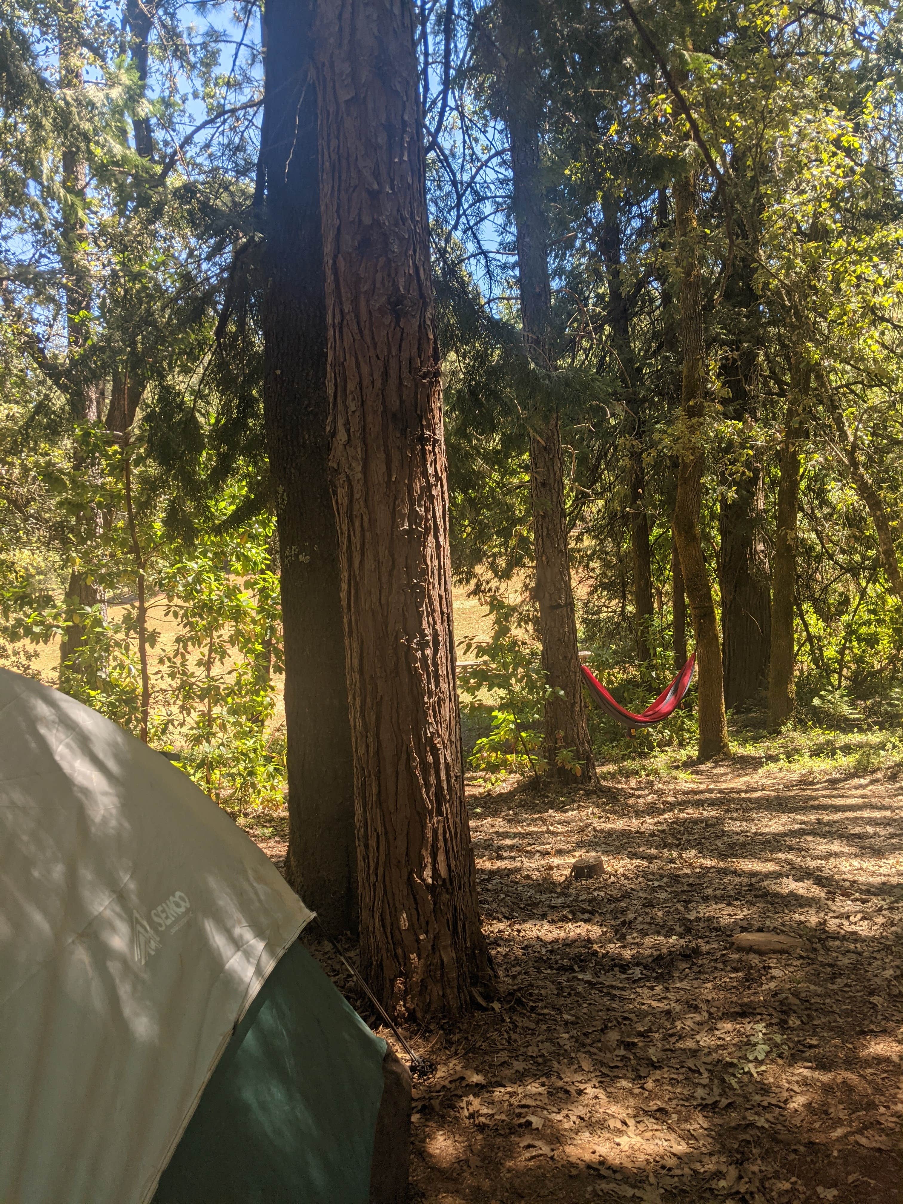 phoebe's photo at Indian Grinding Rock State Historical Park Campground near Volcano, CA