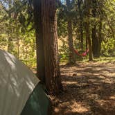 Review photo of Indian Grinding Rock State Historical Park Campground by phoebe , June 28, 2021