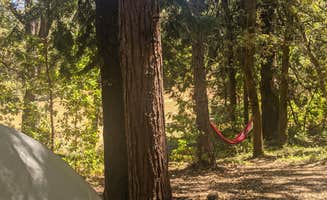phoebe's photo at Indian Grinding Rock State Historical Park Campground near Ione, CA