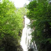 Review photo of Elkmont Campground — Great Smoky Mountains National Park by Megan B., July 17, 2016