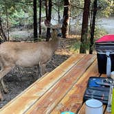 Review photo of Mill Creek Resort by James W., June 28, 2021