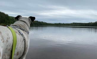 Carrie M.'s photo of camping with pets at Lake Placid/Whiteface Mountain KOA Holiday near Lake Placid, NY