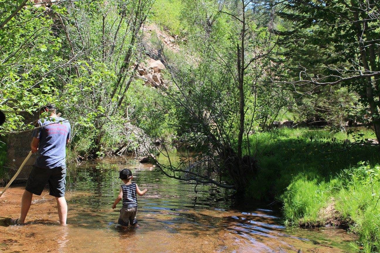 Camper submitted image from Phantom Canyon Road BLM Sites - 4