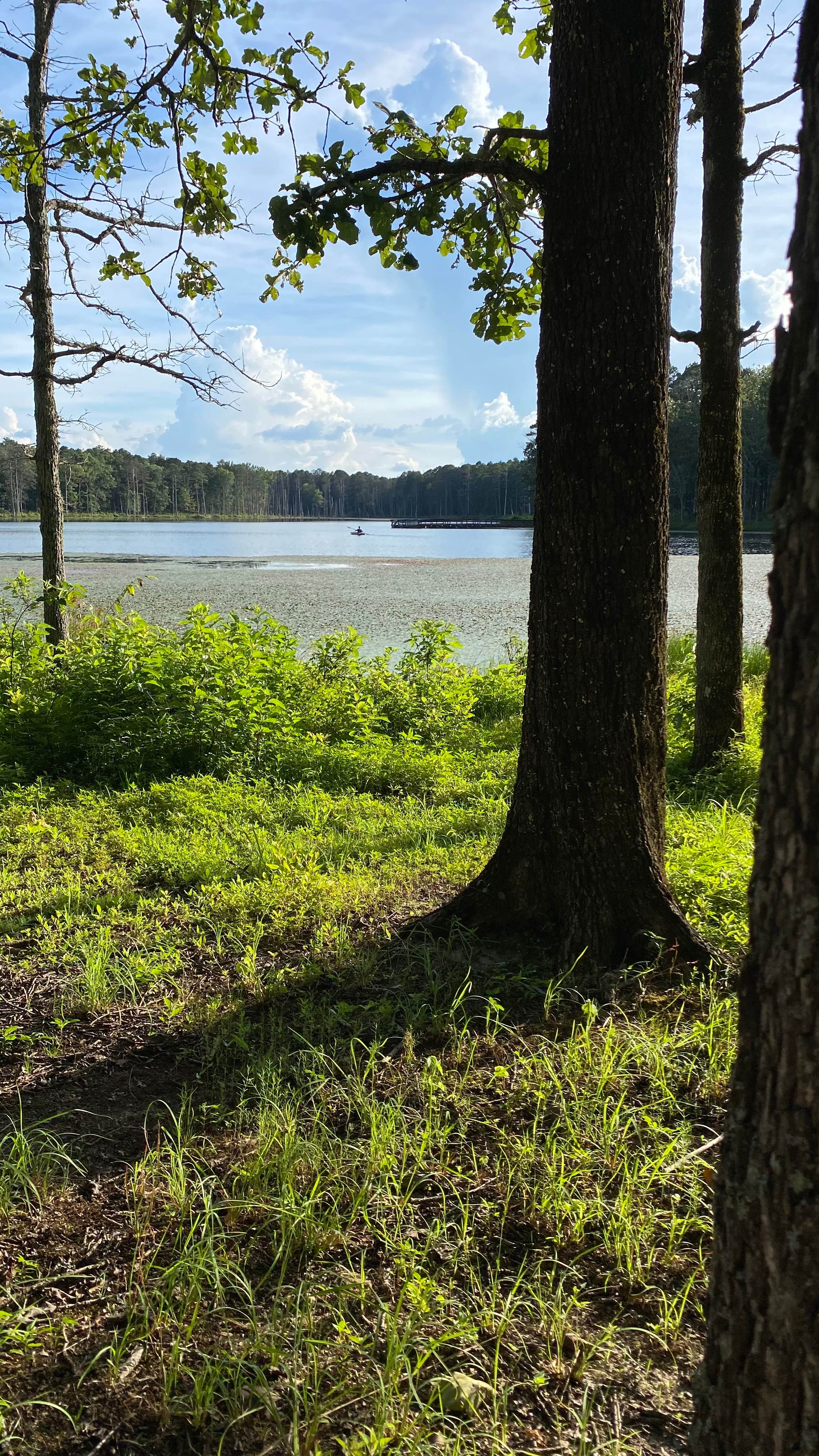 Camper-submitted photo at Pinewoods Lake Rec Area — Mark Twain National Forest near Poplar Bluff, MO