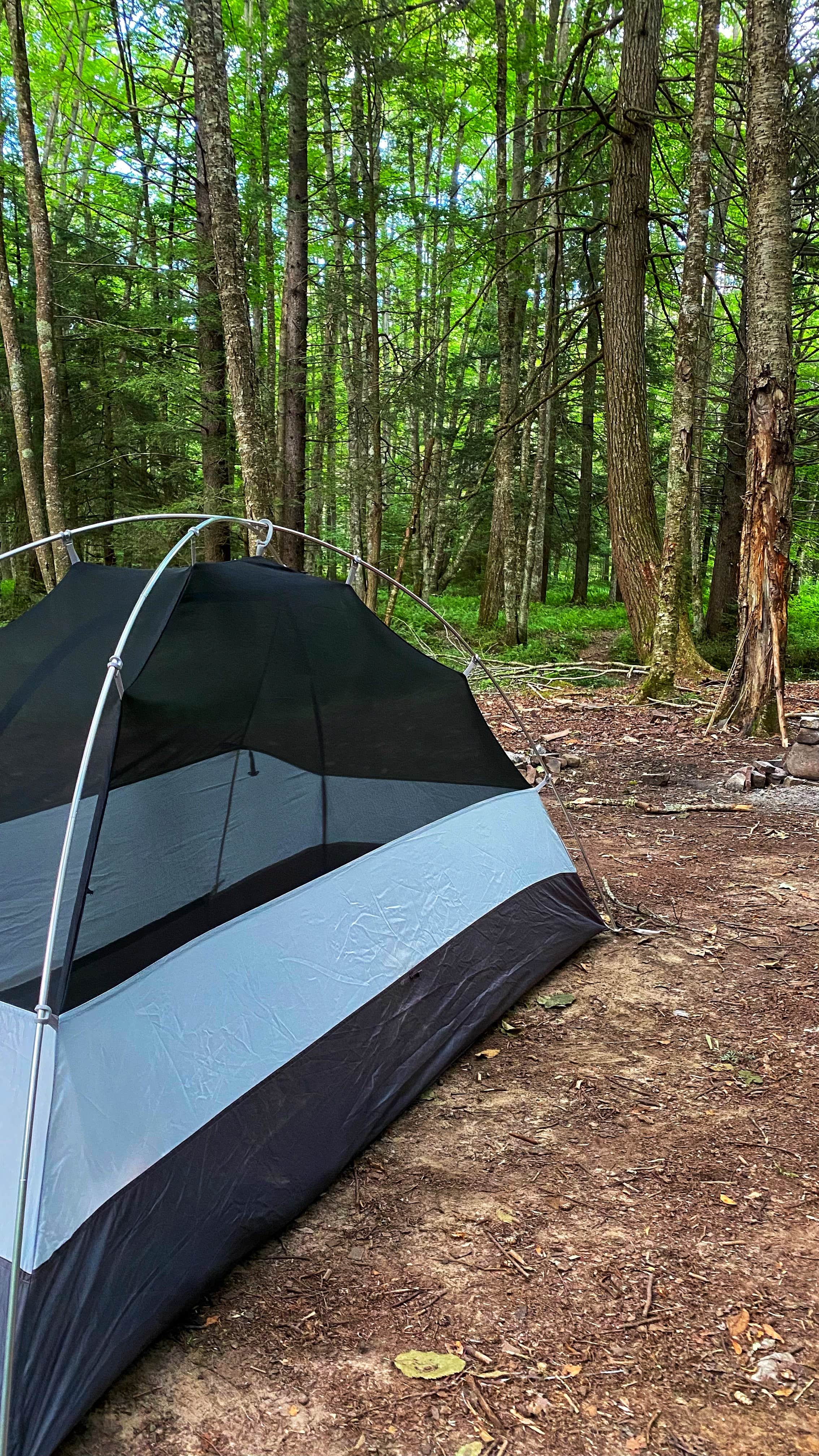 Little River Dispersed Campsites