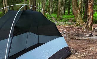Erik C.'s photo at Little River Dispersed Campsites in West Virginia