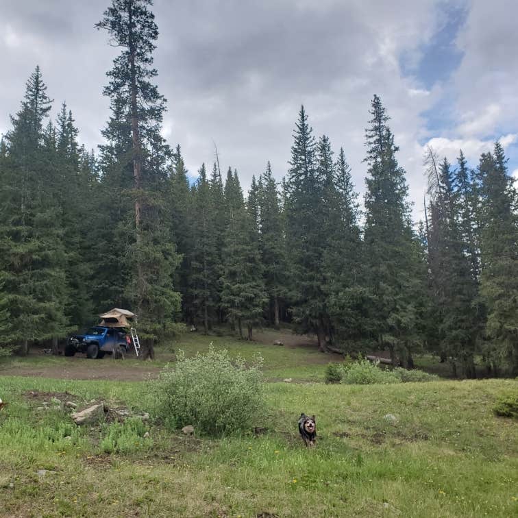 Mirror Lake Camping Gunnison, CO