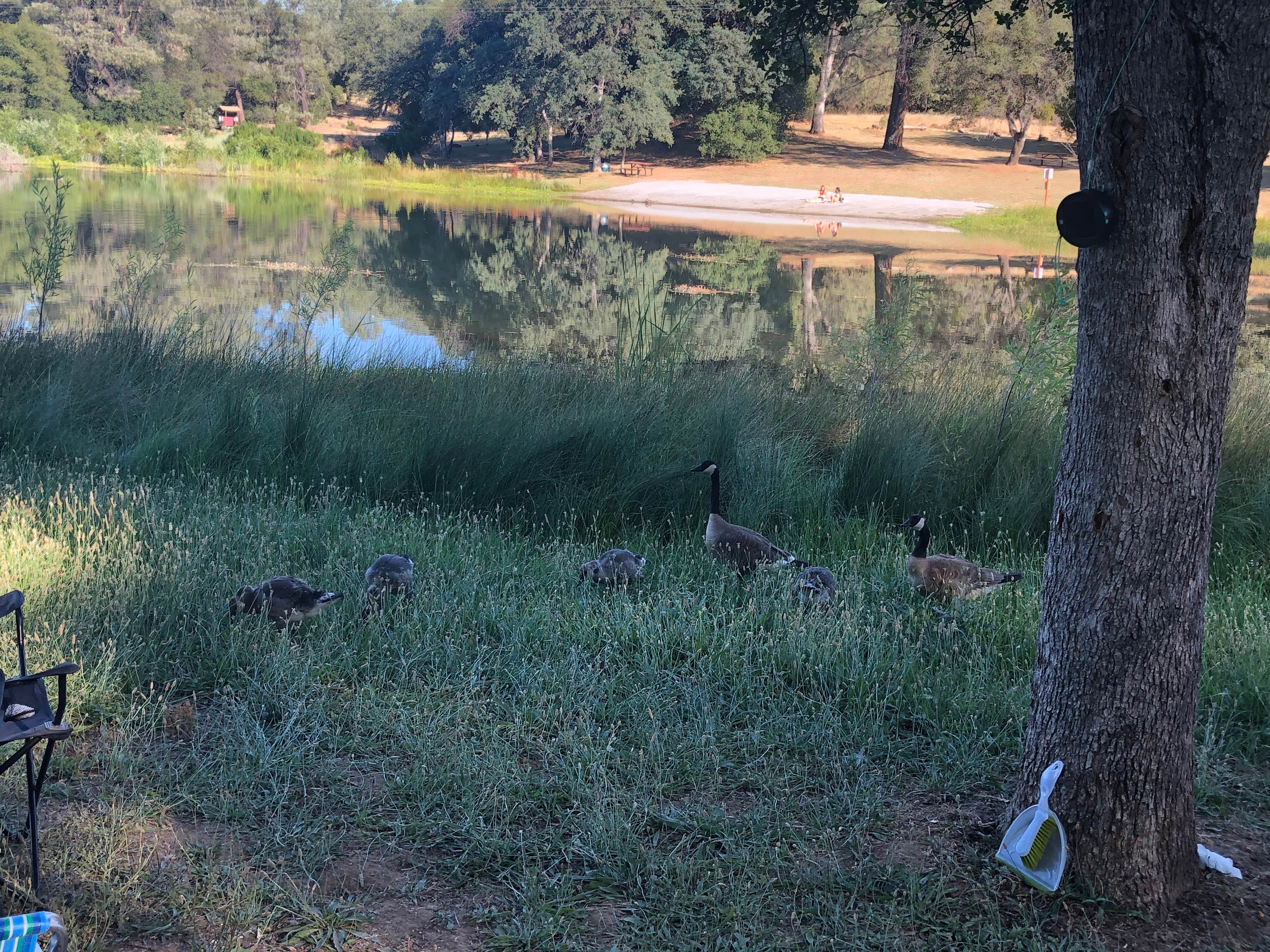Camper-submitted photo at Finnon Lake Recreation Area near Colfax, CA