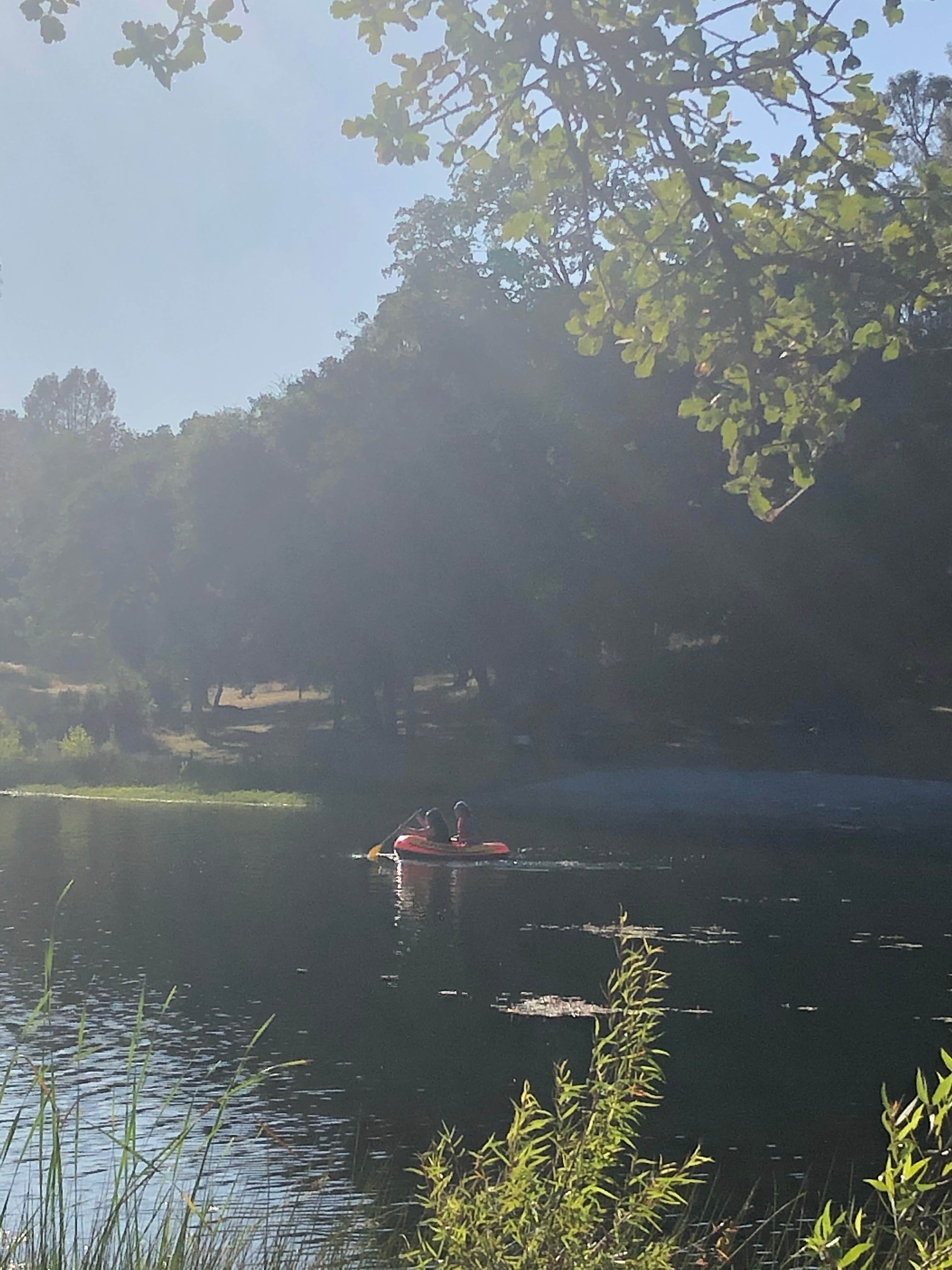 Camper submitted image from Finnon Lake Recreation Area - 4